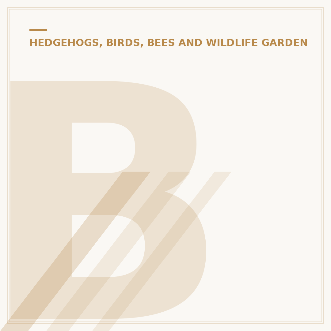 Bluetit Nest Box: What to Look For