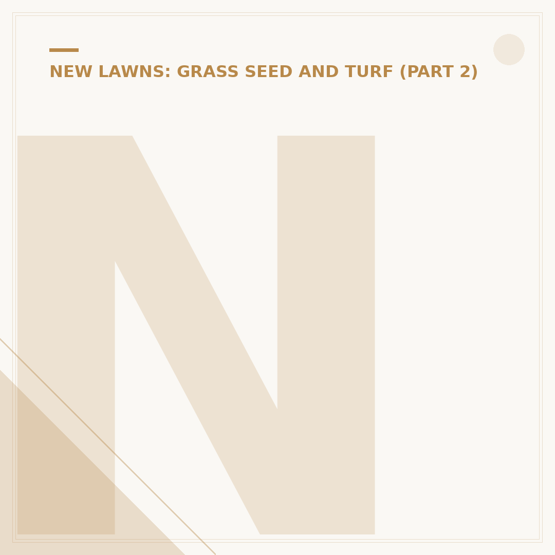 New Turf After 1 Week: What to Expect and Do
