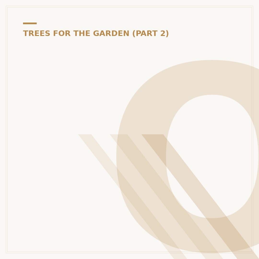 Oak Tree Varieties: Which Is Right For Your Garden?
