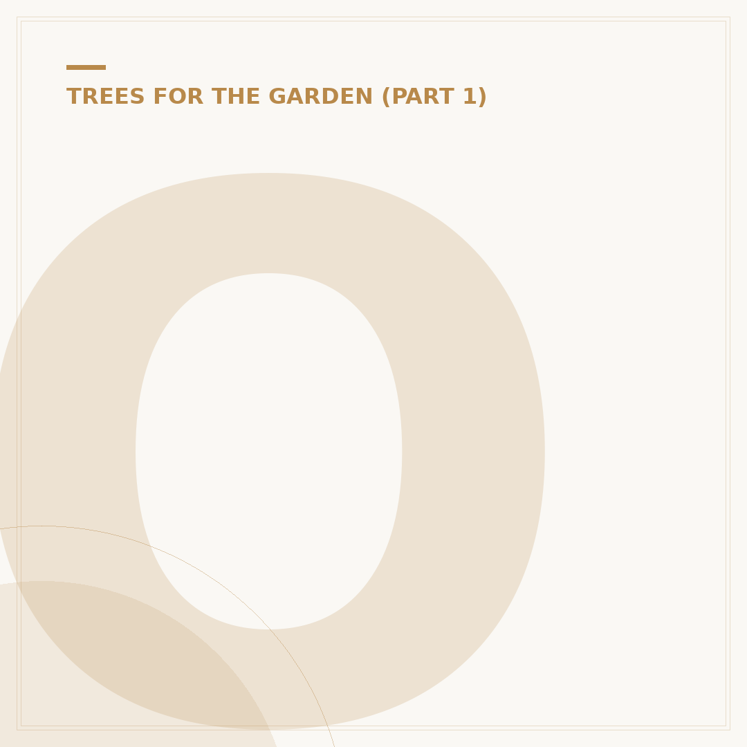 Old Oak Tree: Care, Benefits & Alternatives