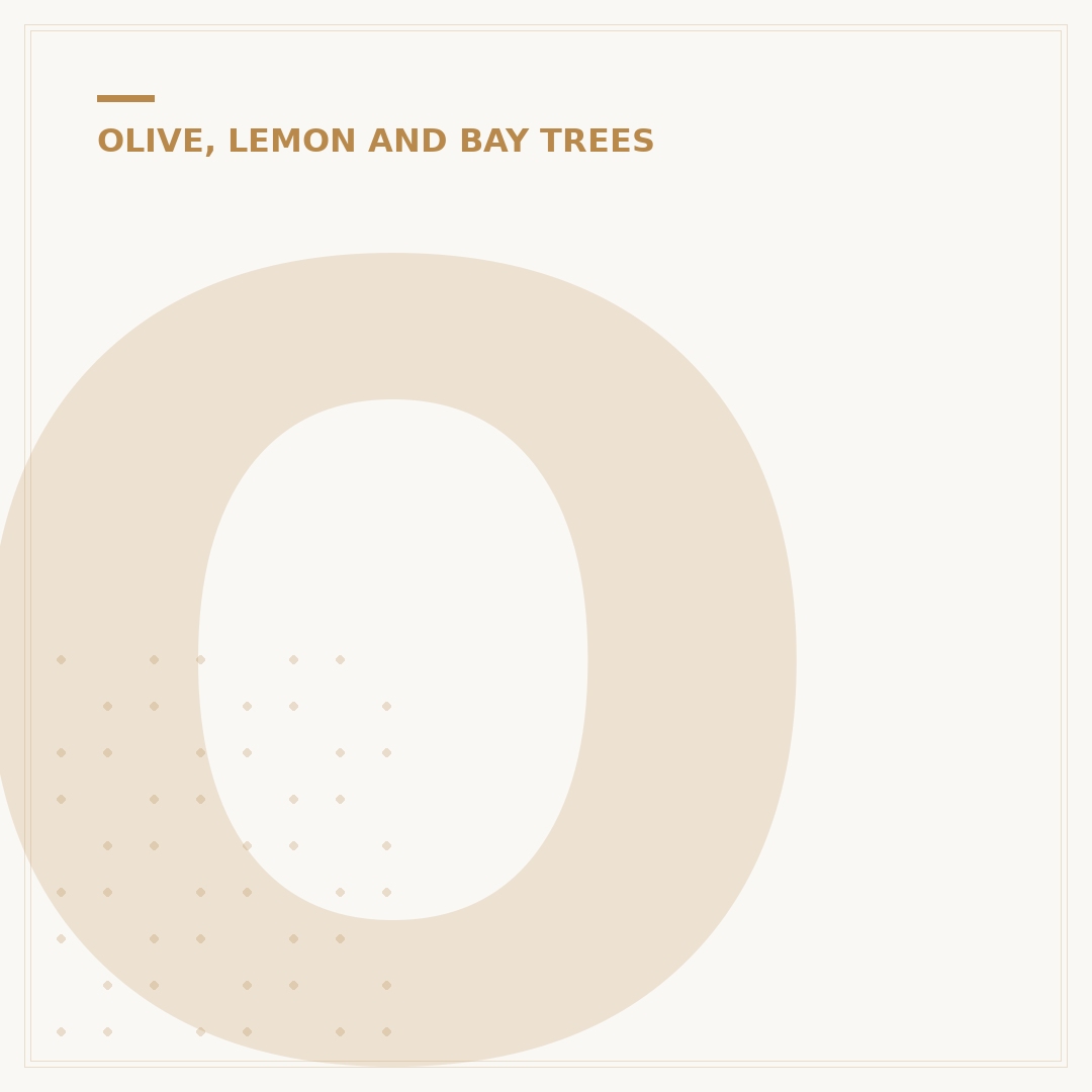 Olive Tree Palma Nova: Care, Varieties, and Alternatives