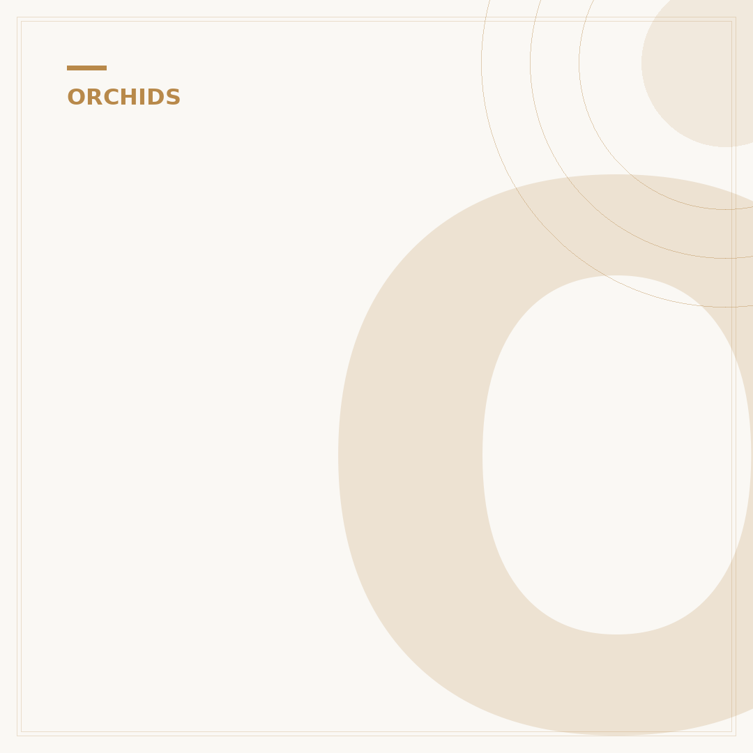 Orchids: Choosing and Caring for Stunning Blooms