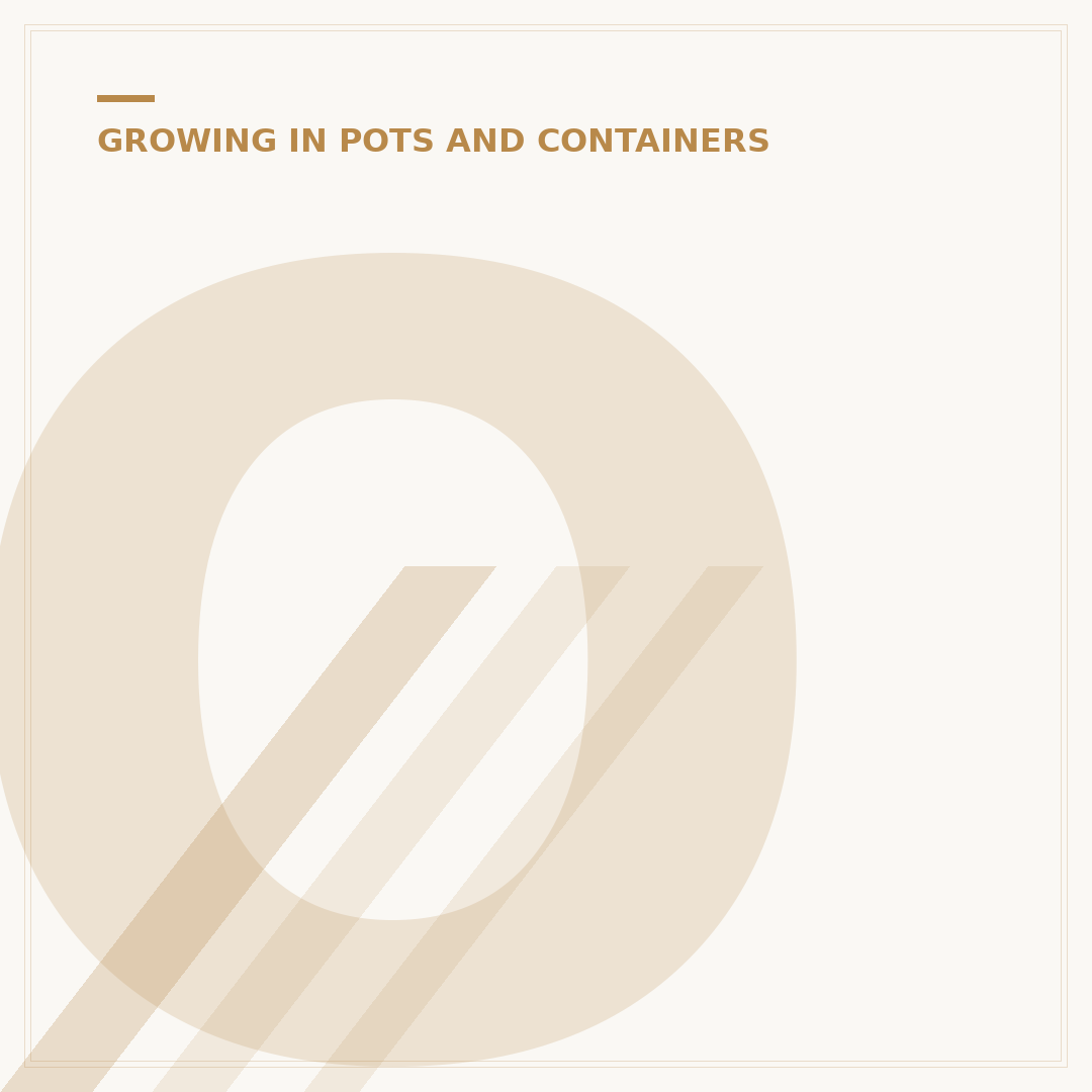 Outdoor Hanging Basket Plants: Choices & Care