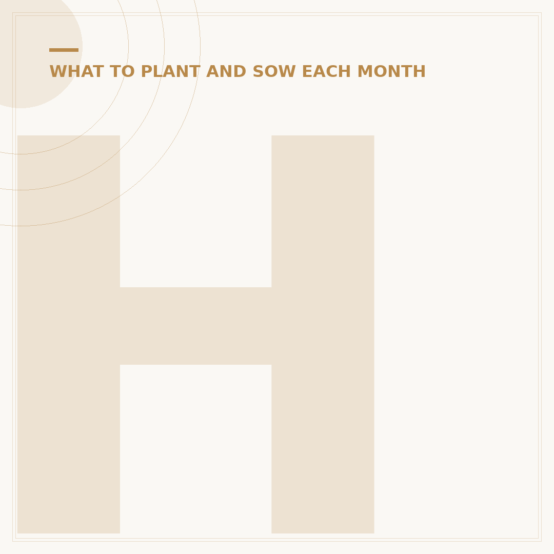 Hardy Outdoor Plants for Winter Pots: Year-Round Colour