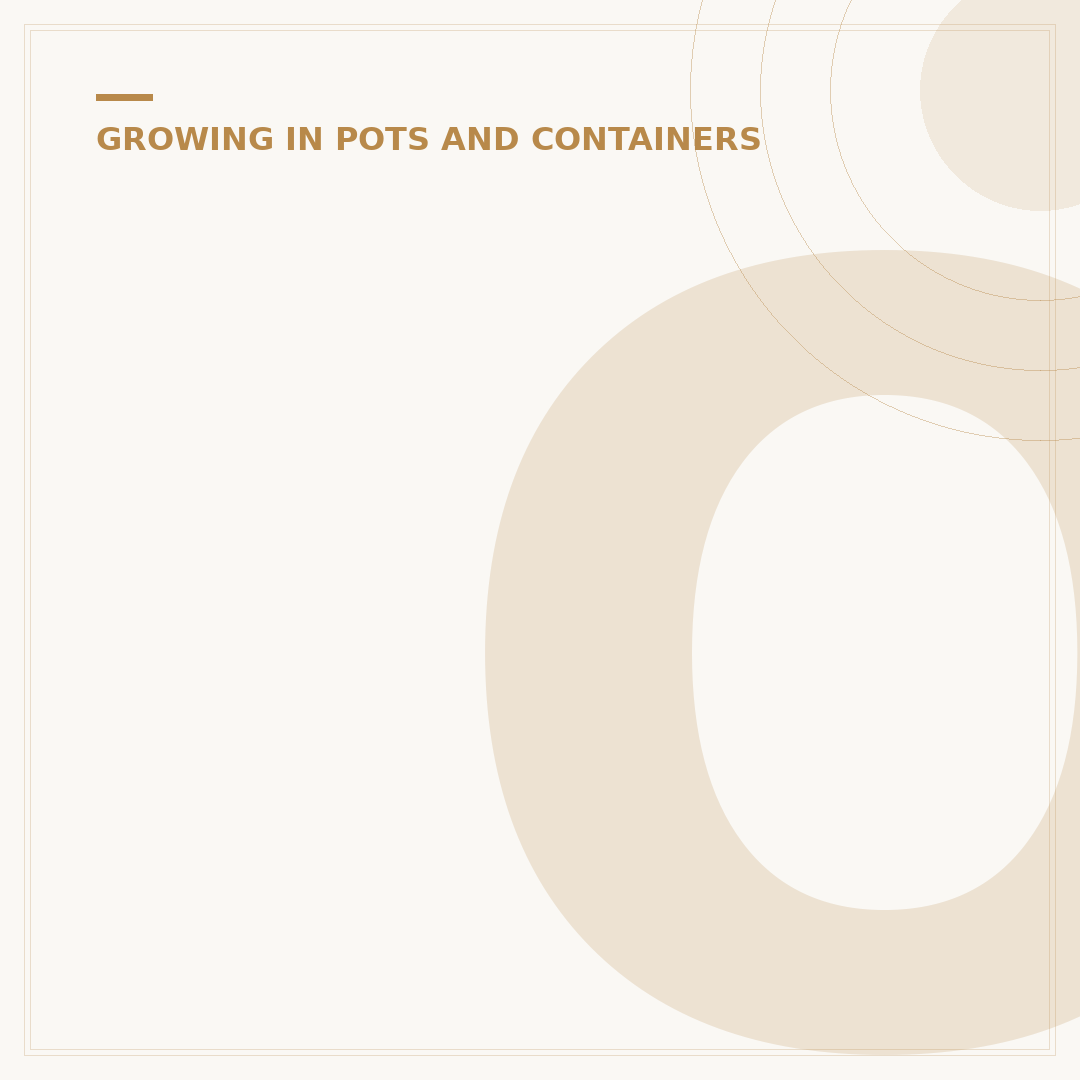 Outdoor Potted Plant Ideas: Vibrant Container Gardening