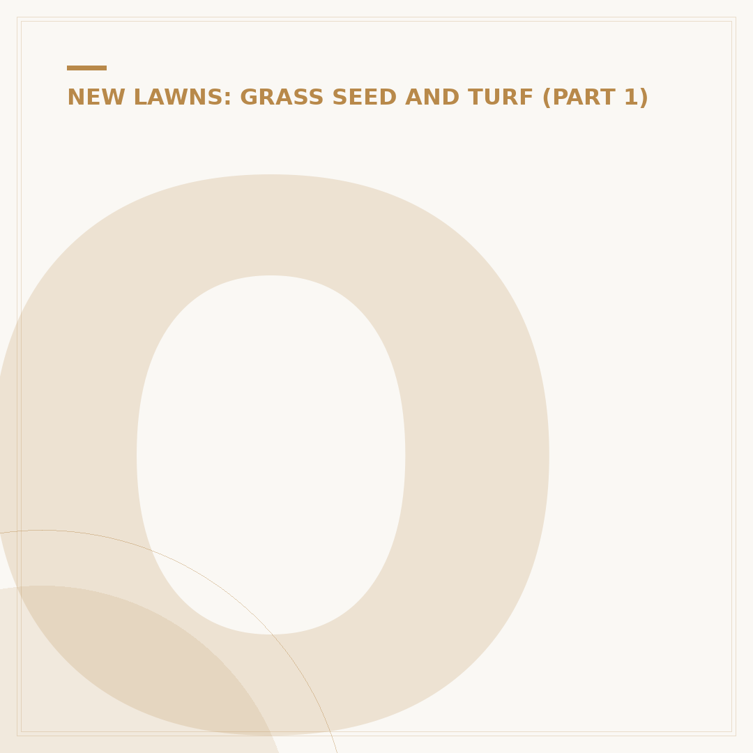 Overseed Your Yard: When and How to Sow Grass Seed