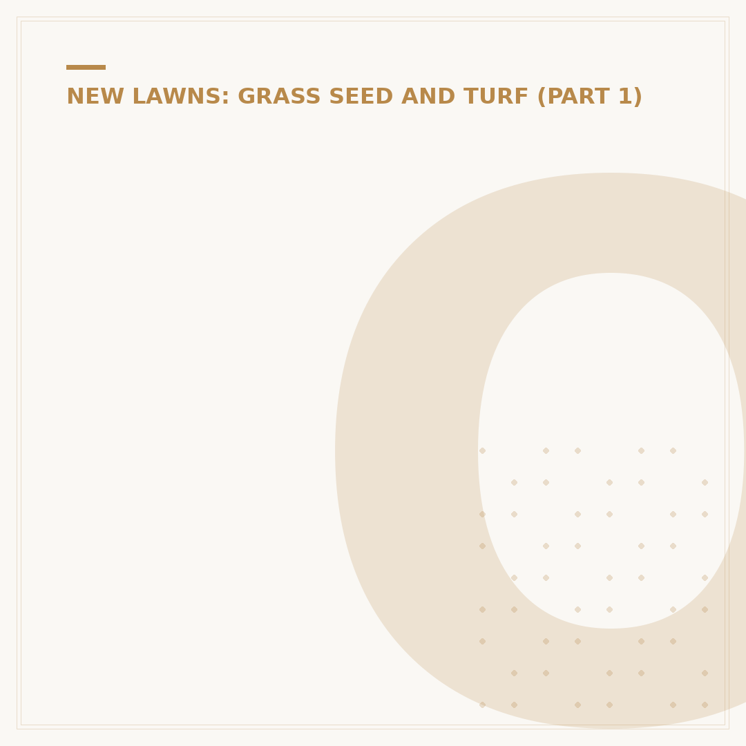 Overseeding Grass Lawn: How To Revive Your Turf
