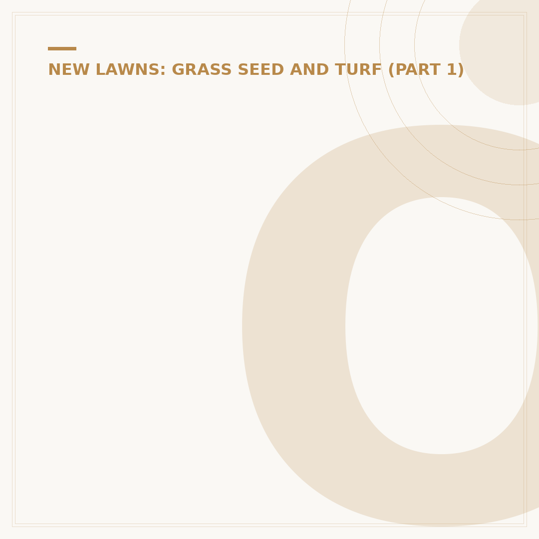 Overseeding Lawn: How to Revitalise Your Grass
