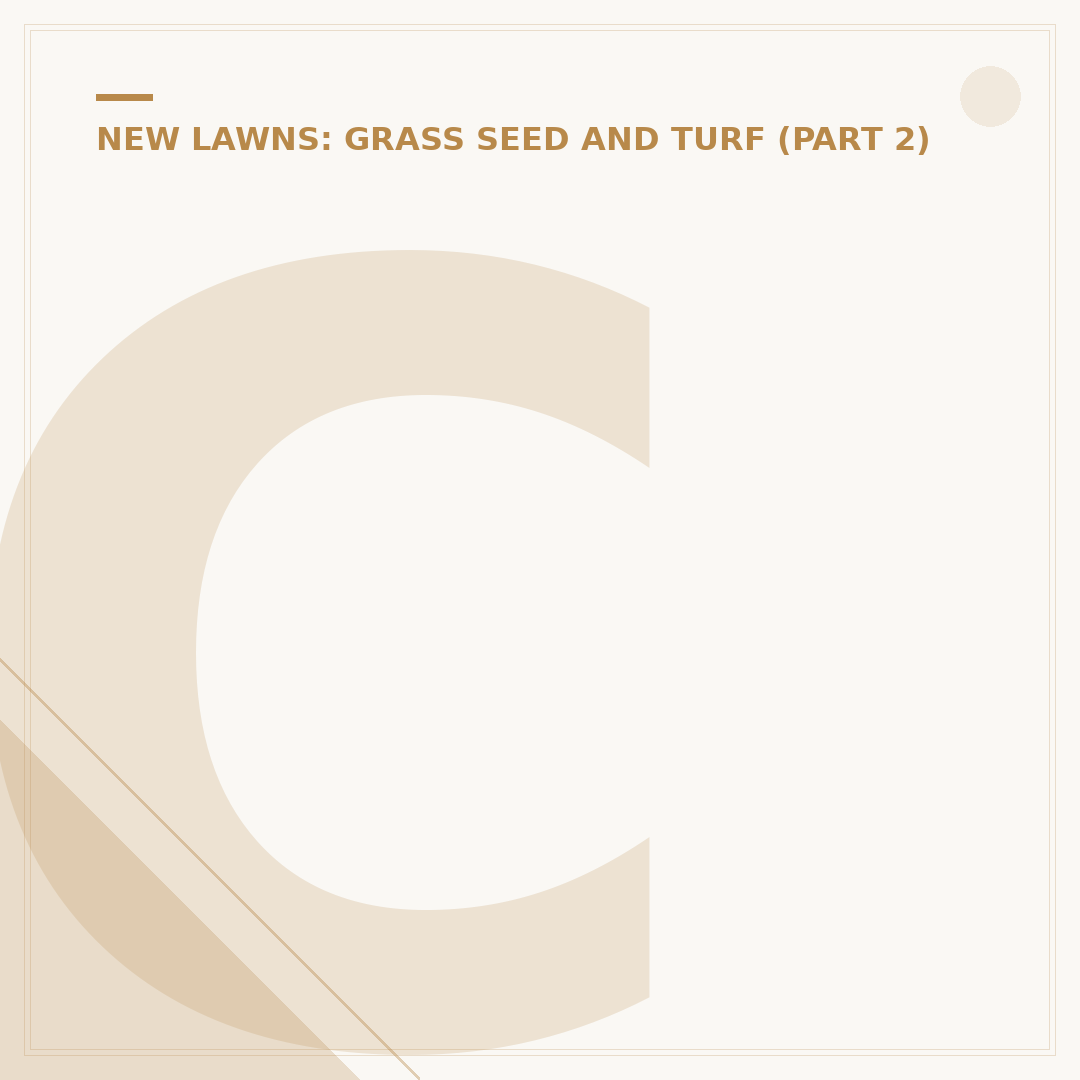 Can You Over Water Grass Seed?