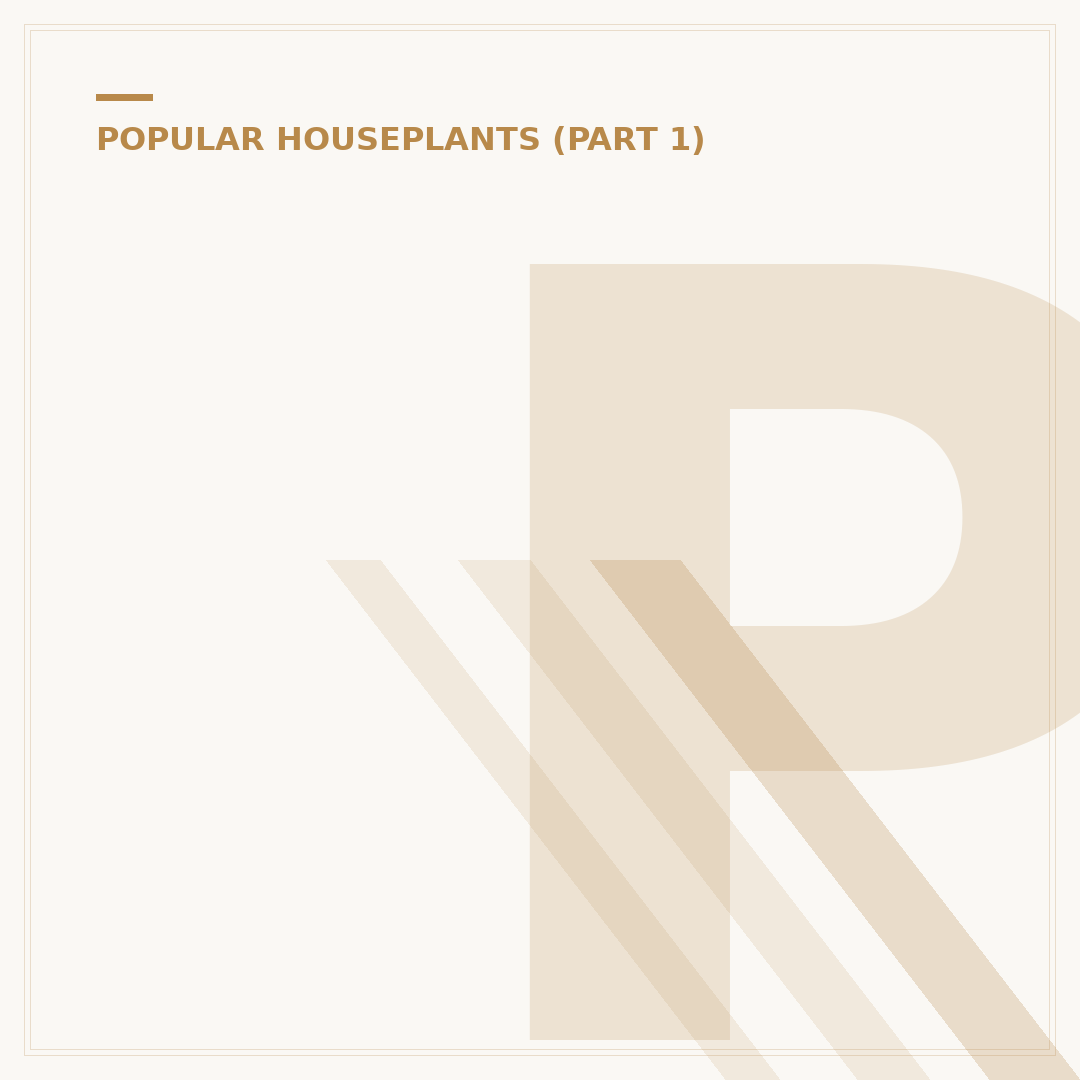 Peace Lily Toxicity for Cats