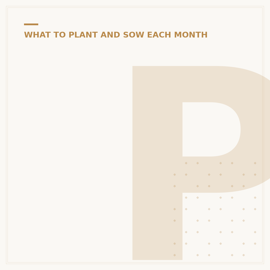 Perennial Plants to Plant in September