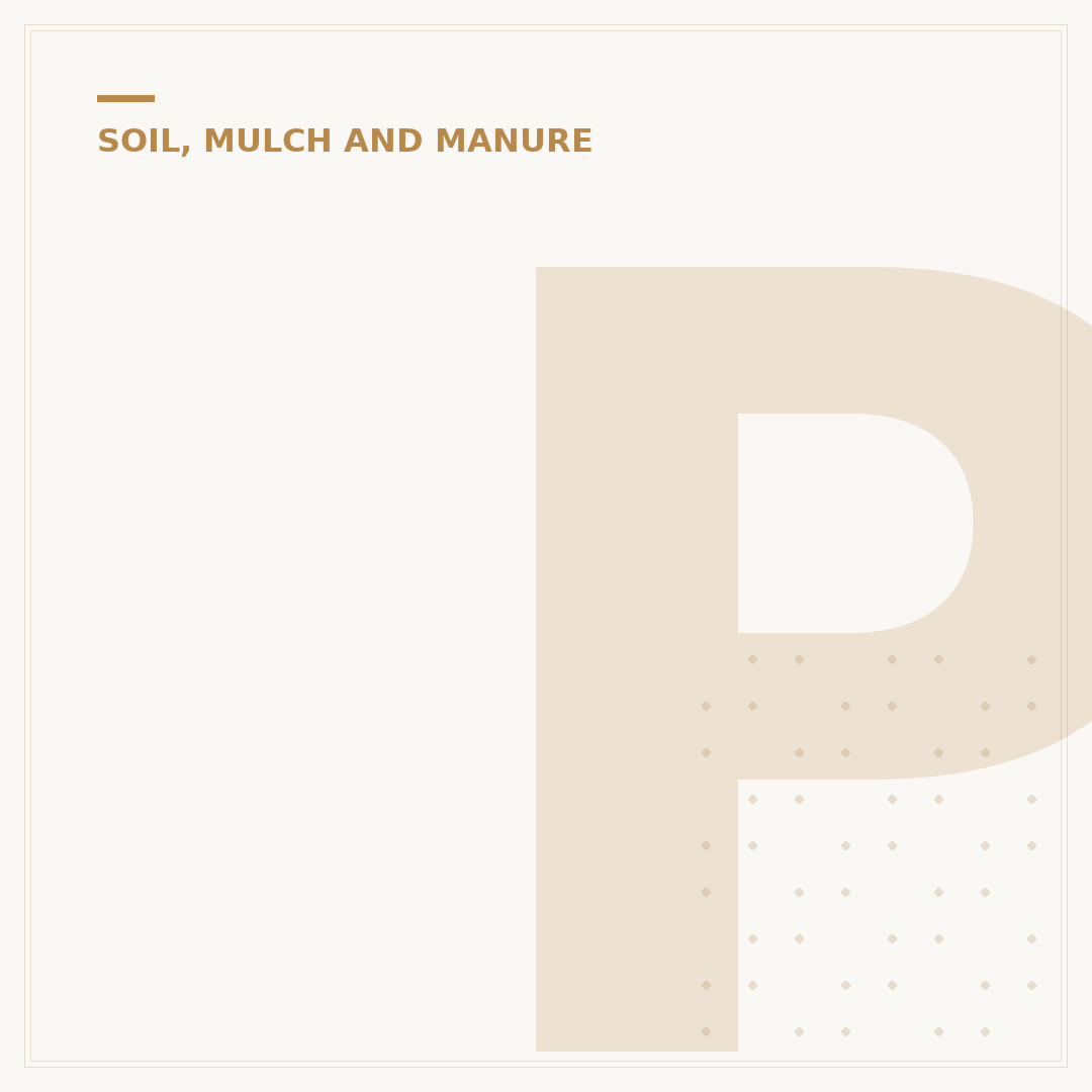 Perlite Soil Additive: Benefits & Alternatives