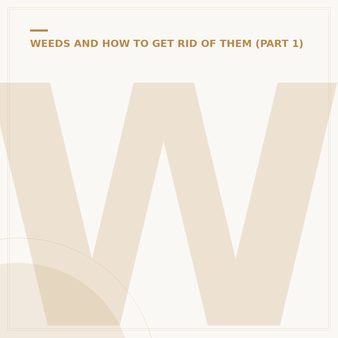 Weed Killer That Is Okay for Pets