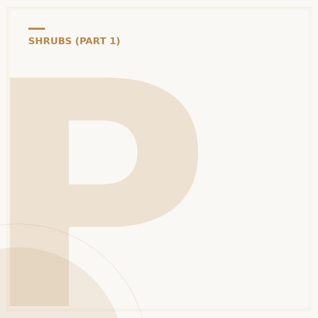 Photinia Red Robin Pruning: Shaping Your Evergreen Shrub