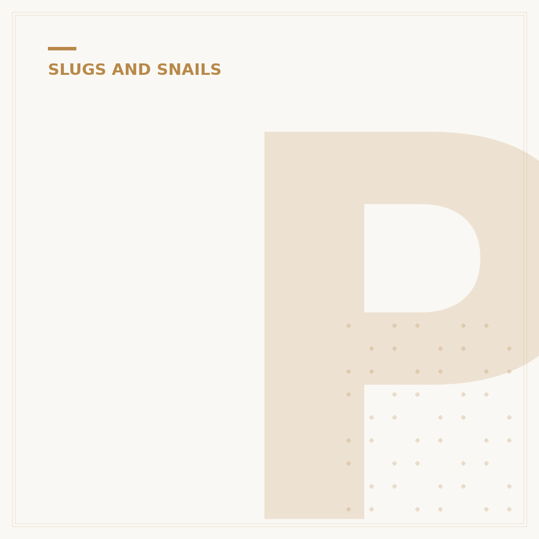Pic of Slugs: Types, Garden Pests & Images