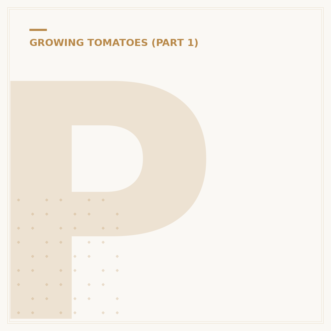 Pinching Out Tomatoes: When and Why To Do It