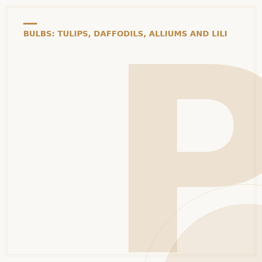 Pink Tulips: Varieties and Cultivation