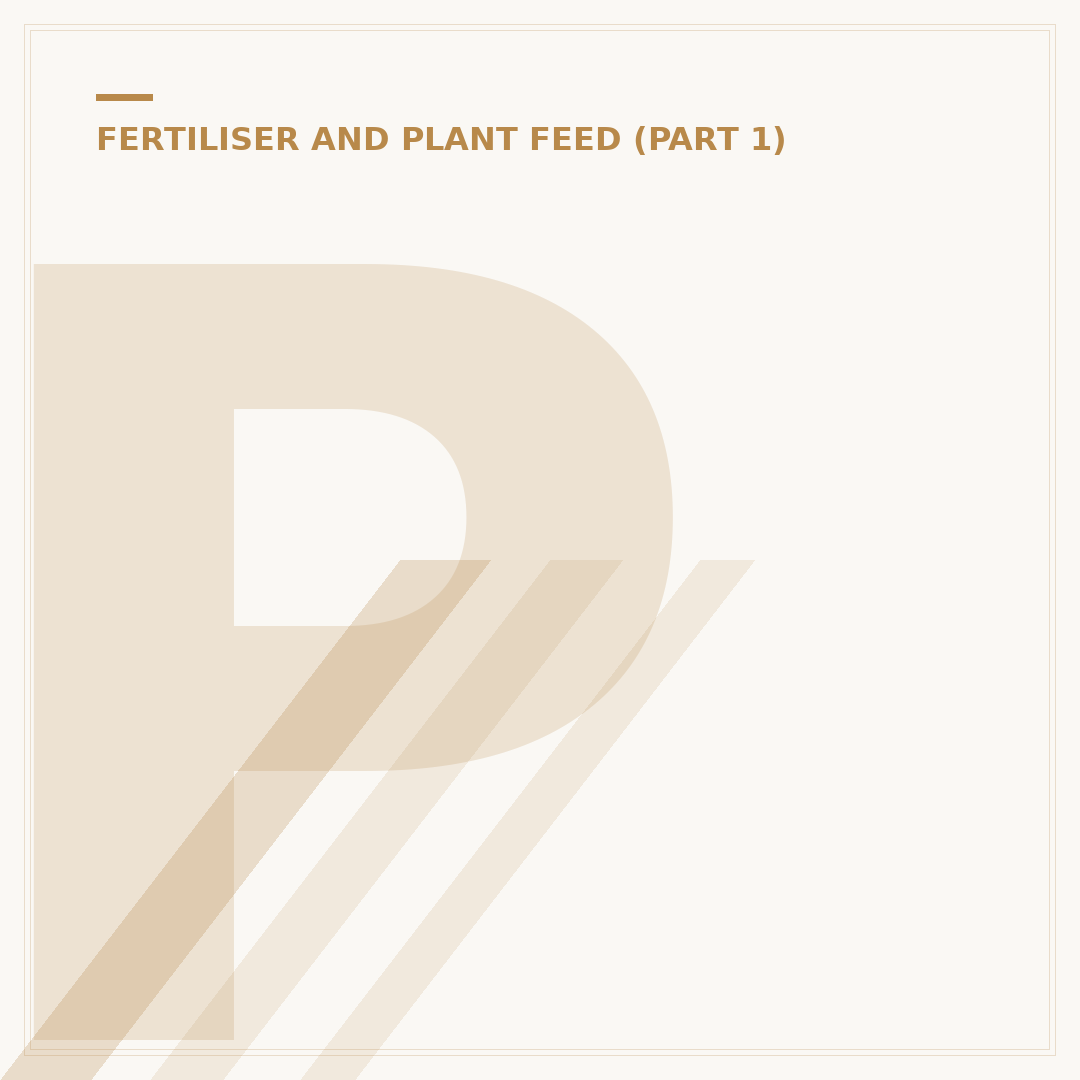 Plant Food Explained: Feeding Your Greenery
