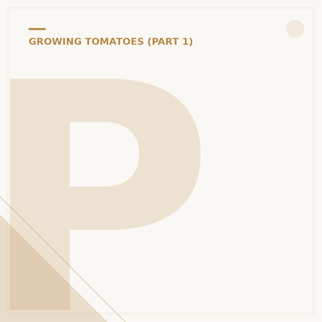 Plant Food for Tomatoes: Choosing the Right Nutrients