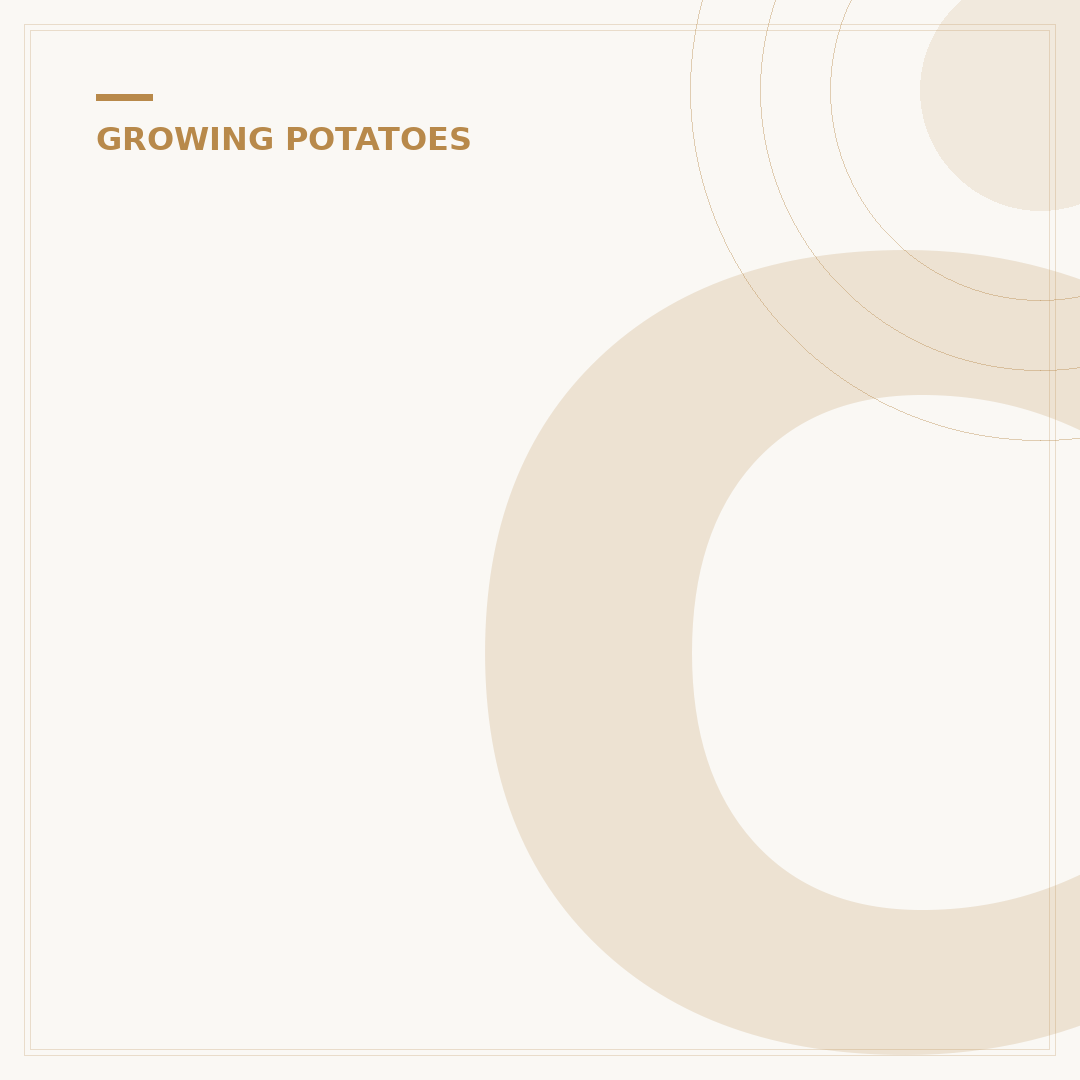 Can You Plant Potato Sprouts? Growing From Eyes