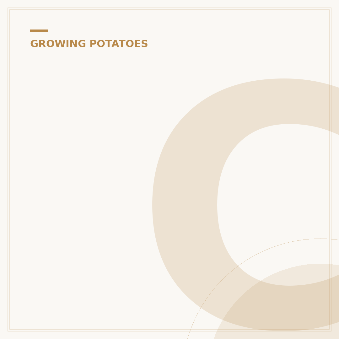 Can I Plant Potatoes Now? Timing and Tips