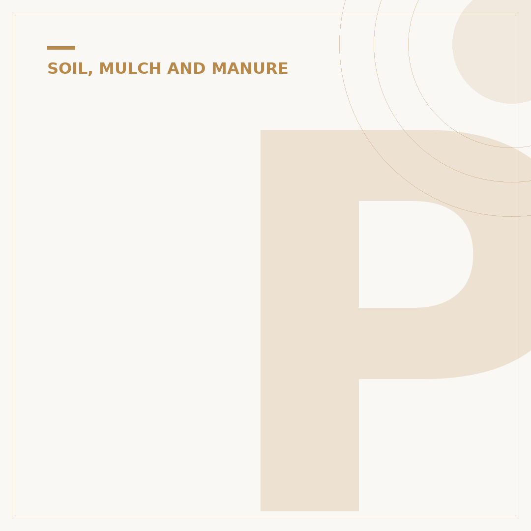 Plant Soil Mould: Causes, Prevention & Treatment