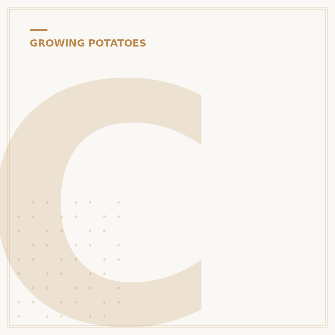 Can You Plant Sprouting Potatoes?
