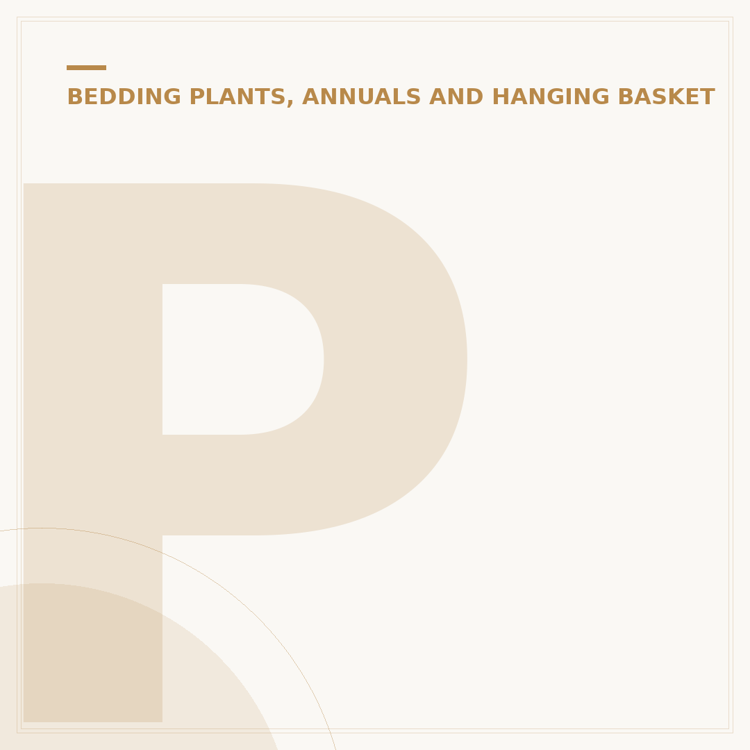 Planting Begonia Bulbs: Timing, Depth, and Care