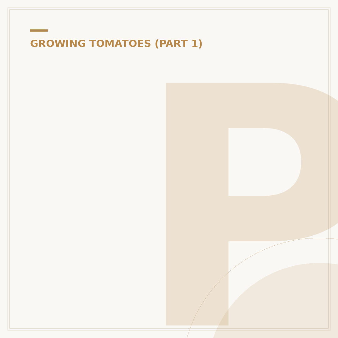 Planting Tomatoes in a Grow Bag