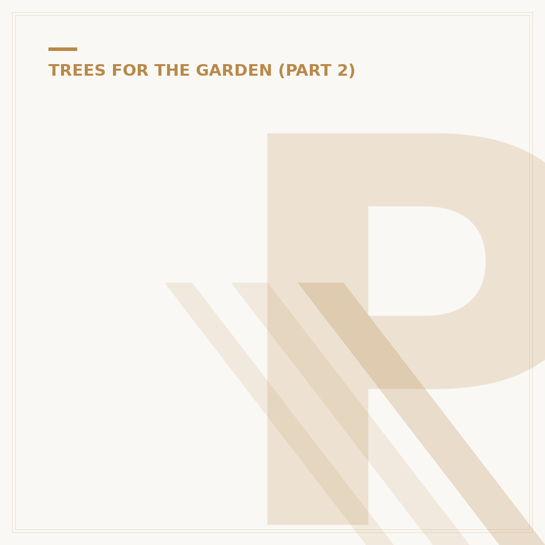 Plants Around Trees