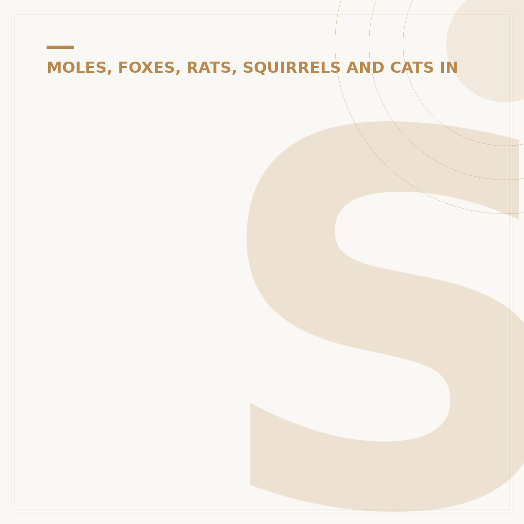 Safe Plants for Cats: Choosing Pet-Friendly Flora