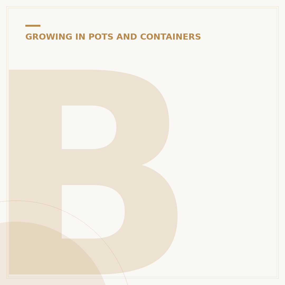 Best Plants for Flower Pots
