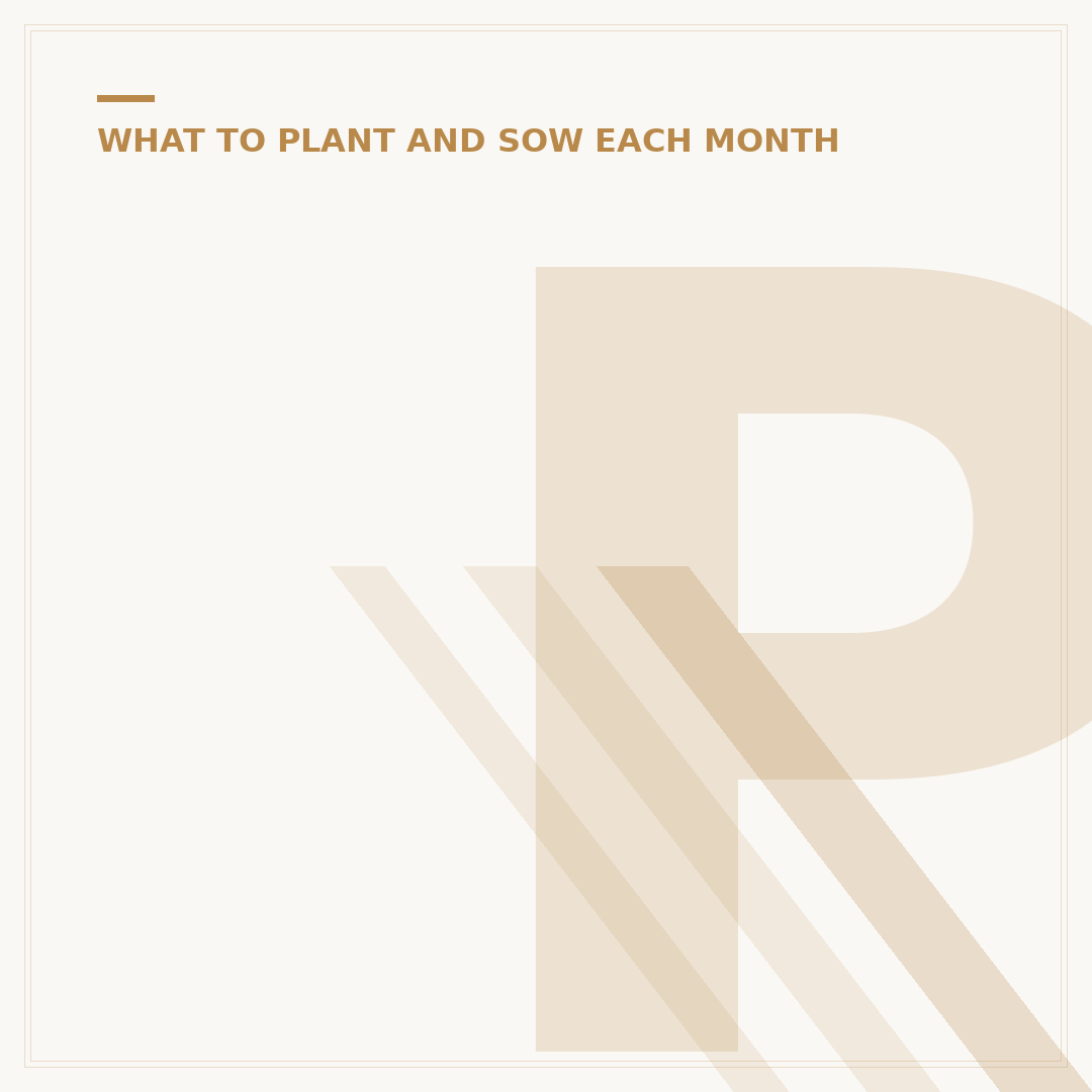 Plants for Spring: What to Grow and When