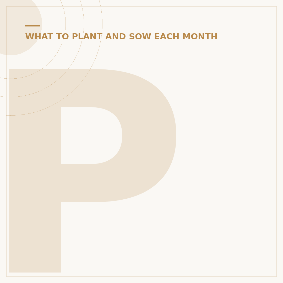 Plants for the Summer