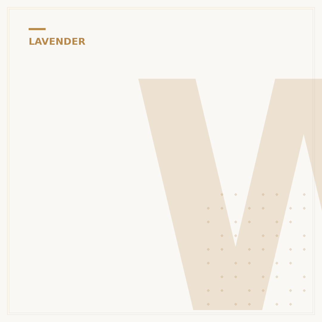 What Plants Go With Lavender: Companion Planting Ideas