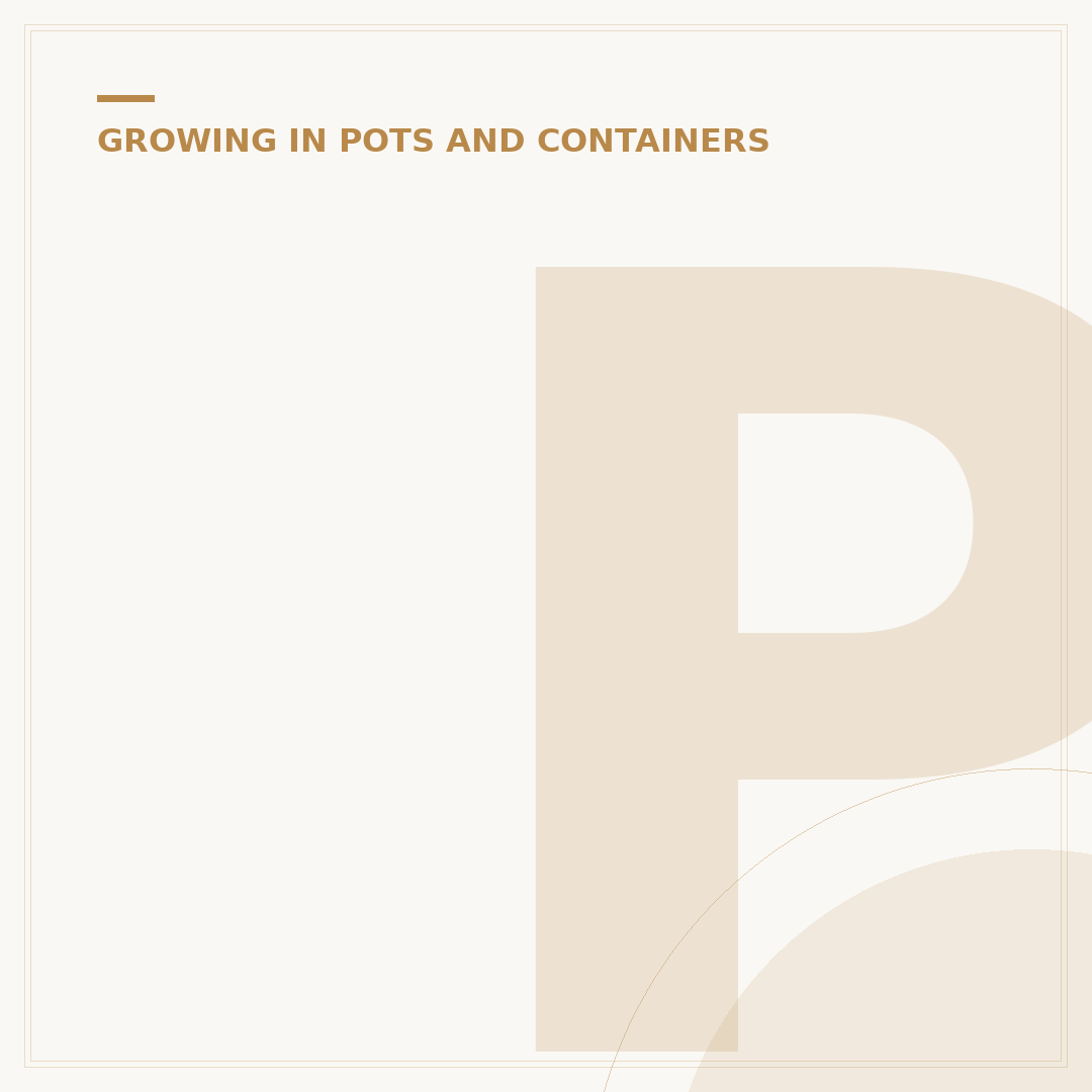 Plants for Hanging Pots in Shade