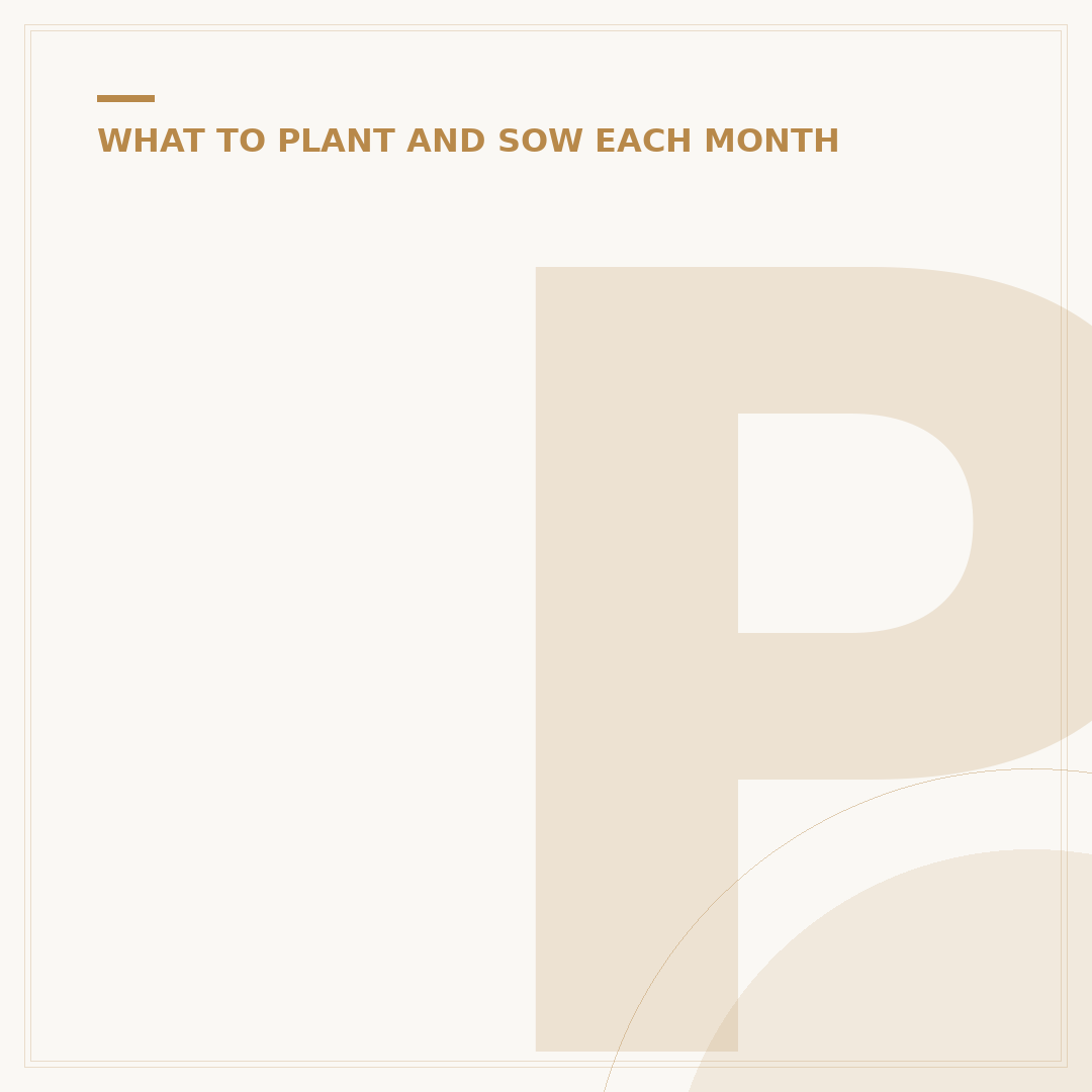 Plants to Plant in Winter UK: Garden Choices
