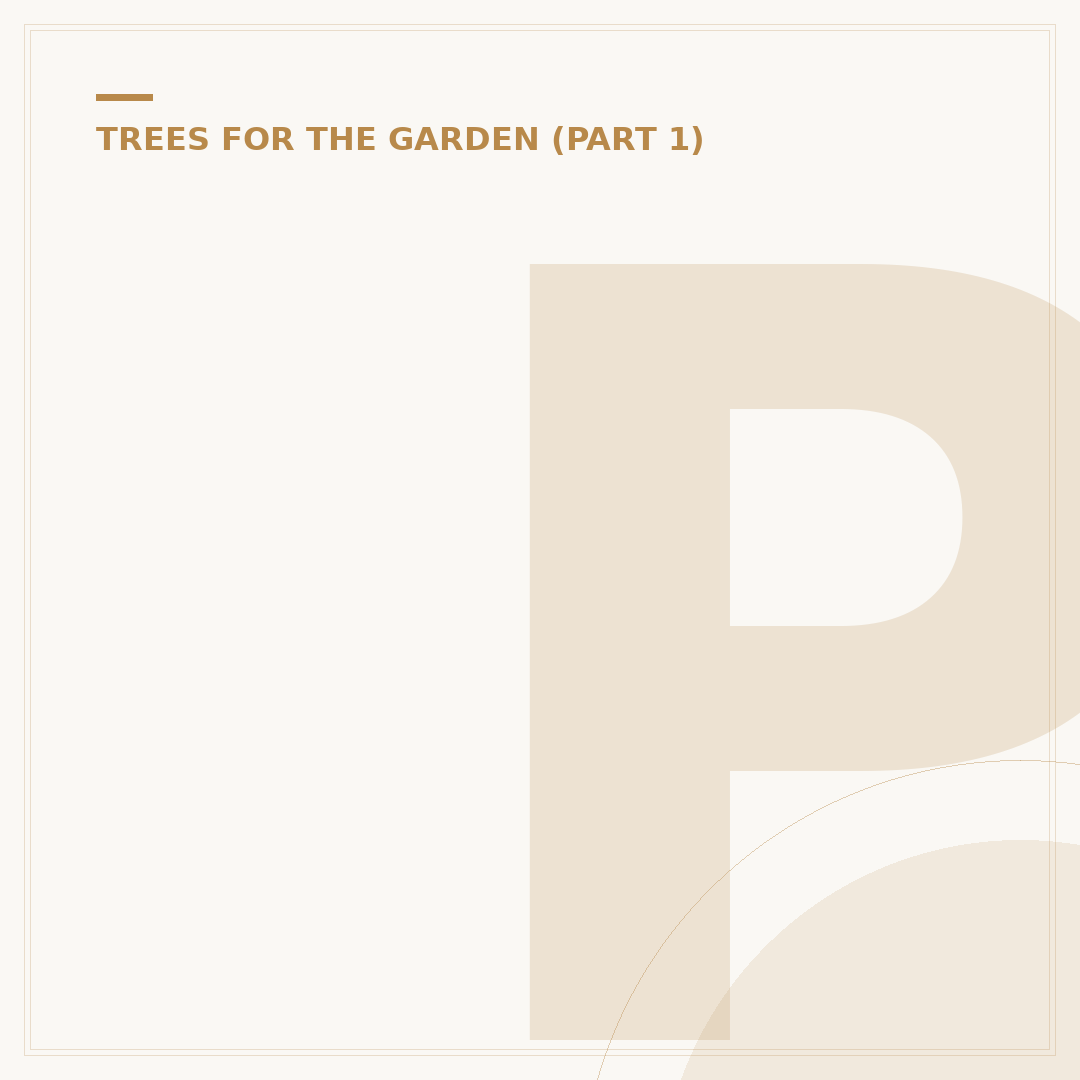 Plants for Under Trees: Shady Garden Choices
