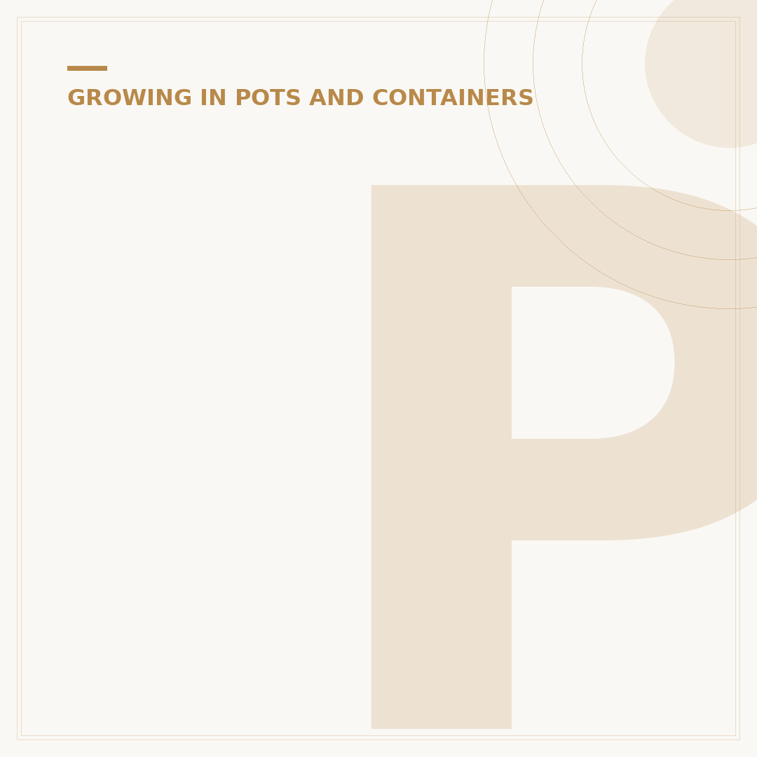 Plug Plants for Hanging Baskets