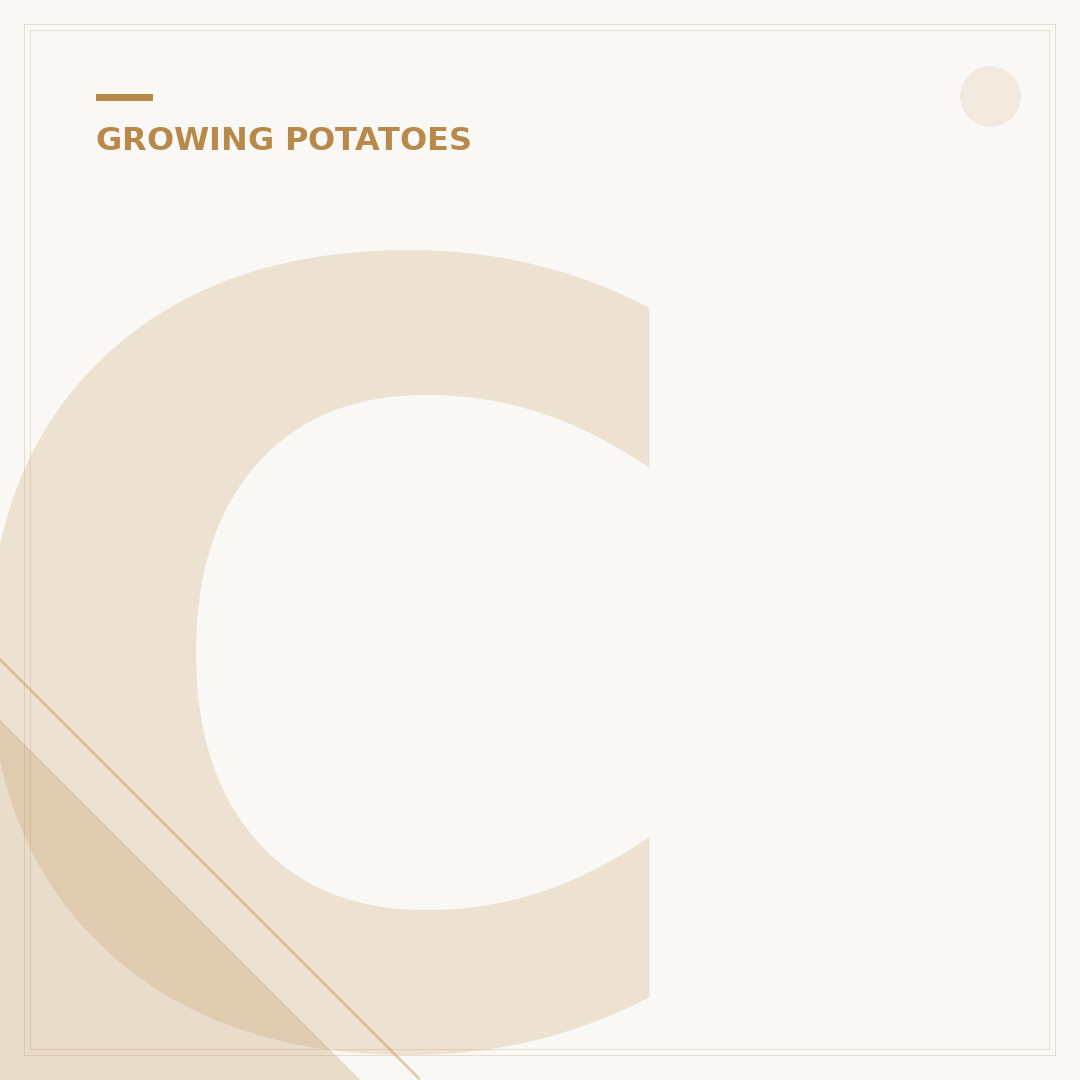 Can Potatoes Grow in Winter?