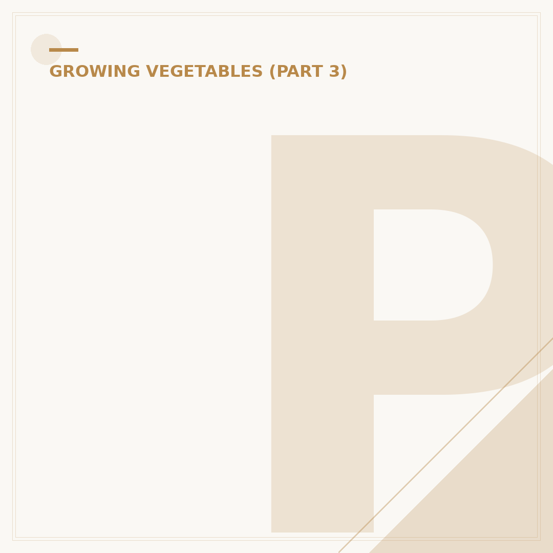 Problems with Growing Cauliflower