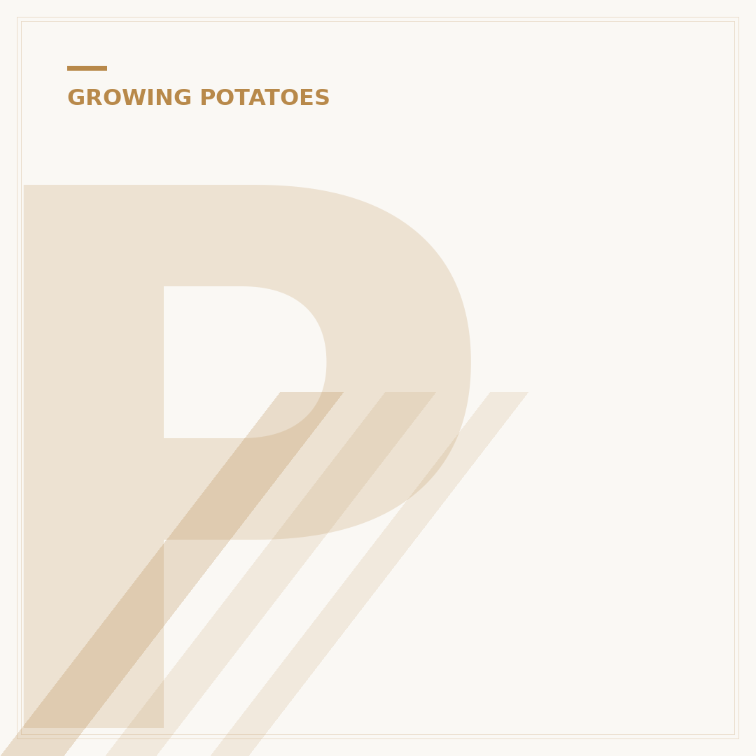 Problems Growing Potatoes in Containers & How to Fix Them