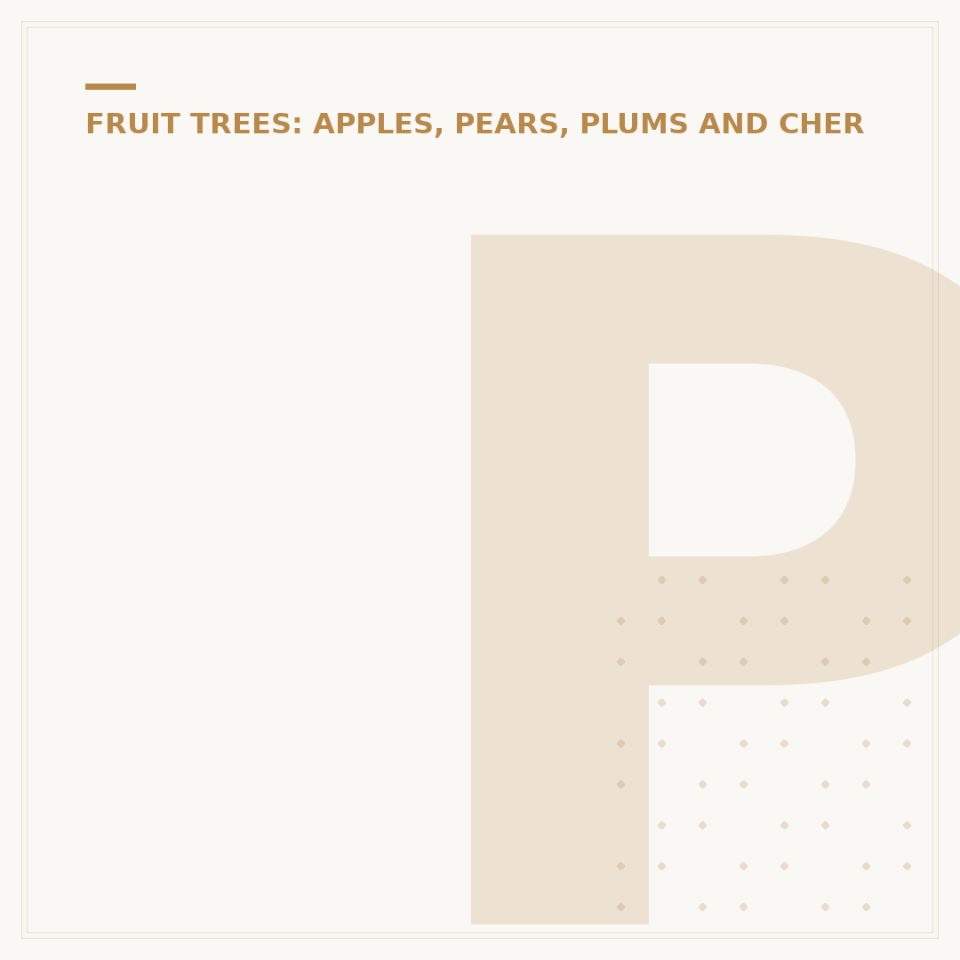 Pruning Apple Trees: Avoid Common Mistakes