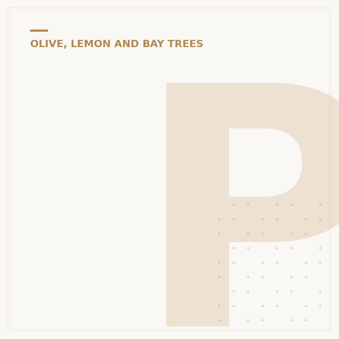 Pruning Bay Tree: When and How to Trim