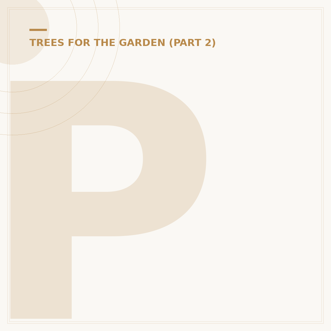 Pruning Birch Trees: Common Mistakes and How to Avoid Them