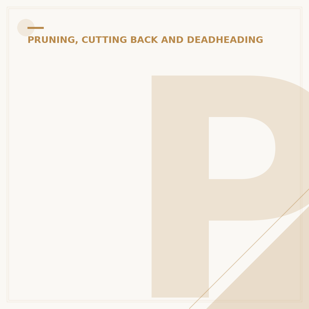 Pruning Cutters: Choosing the Right Tool for Your Garden