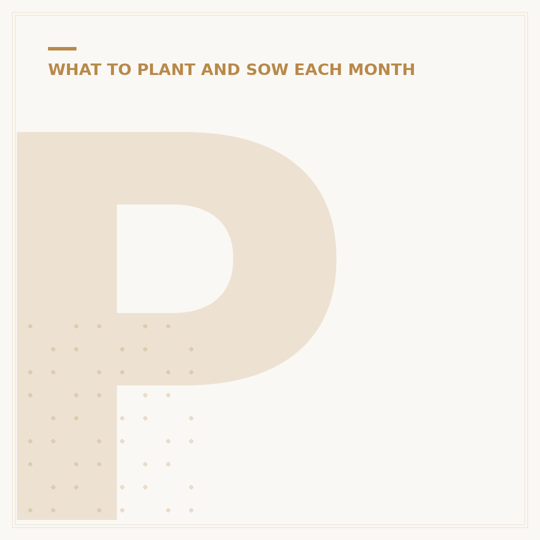 Pruning Plants in November: What to Cut Back