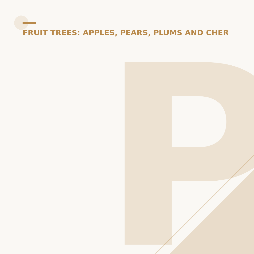 Pruning Small Apple Trees