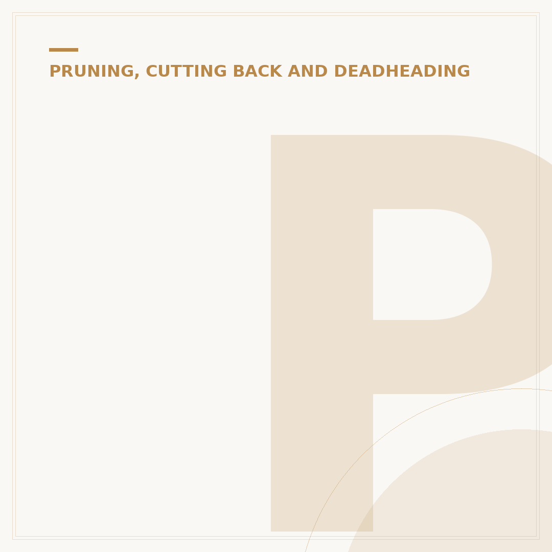 Pruning Walnut Trees: Timing and Techniques