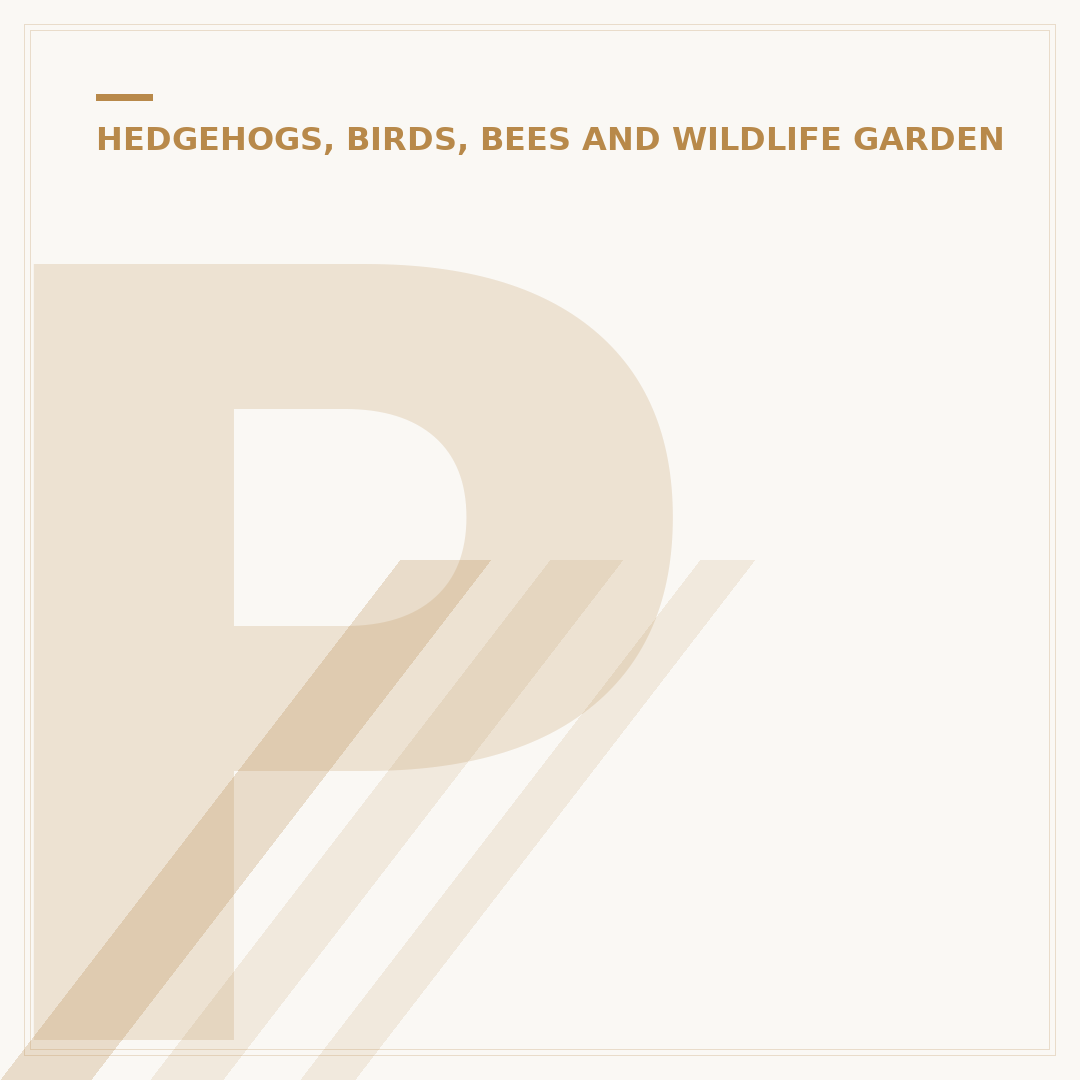 Purple Wildflowers UK: Identification and Planting